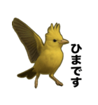 トサカトリの挨拶スタンプ（個別スタンプ：39）