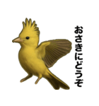 トサカトリの挨拶スタンプ（個別スタンプ：40）