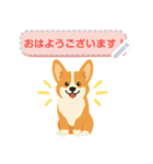 シンプルなコーギースタンプ（メッセージ）（個別スタンプ：1）