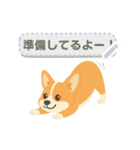 シンプルなコーギースタンプ（メッセージ）（個別スタンプ：3）