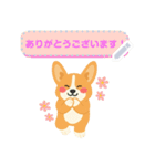 シンプルなコーギースタンプ（メッセージ）（個別スタンプ：5）