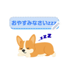 シンプルなコーギースタンプ（メッセージ）（個別スタンプ：7）