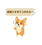 シンプルなコーギースタンプ（メッセージ）（個別スタンプ：8）