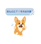 シンプルなコーギースタンプ（メッセージ）（個別スタンプ：9）