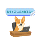 シンプルなコーギースタンプ（メッセージ）（個別スタンプ：12）
