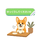 シンプルなコーギースタンプ（メッセージ）（個別スタンプ：13）
