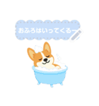 シンプルなコーギースタンプ（メッセージ）（個別スタンプ：14）
