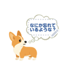 シンプルなコーギースタンプ（メッセージ）（個別スタンプ：17）