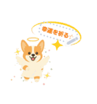 シンプルなコーギースタンプ（メッセージ）（個別スタンプ：24）