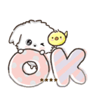 名前が入る★愛犬マルチーズ【判子】（個別スタンプ：1）