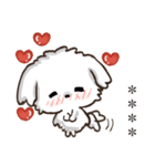 名前が入る★愛犬マルチーズ【判子】（個別スタンプ：16）