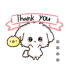 名前が入る★愛犬マルチーズ【判子】（個別スタンプ：17）