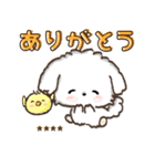 名前が入る★愛犬マルチーズ【判子】（個別スタンプ：19）