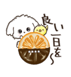 名前が入る★愛犬マルチーズ【判子】（個別スタンプ：24）
