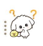 名前が入る★愛犬マルチーズ【判子】（個別スタンプ：25）