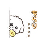名前が入る★愛犬マルチーズ【判子】（個別スタンプ：26）