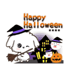 名前が入る★愛犬マルチーズ【判子】（個別スタンプ：33）