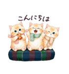 冬に毎日使える 水彩ねこ 日常（個別スタンプ：3）