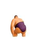 踊る！横揺れ界隈/相撲取り/関取/力士（個別スタンプ：1）