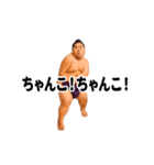 踊る！横揺れ界隈/相撲取り/関取/力士（個別スタンプ：9）