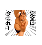 踊る！横揺れ界隈/相撲取り/関取/力士（個別スタンプ：24）