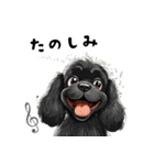 毎日使える大人可愛い黒アメコカ（個別スタンプ：1）