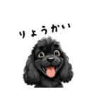 毎日使える大人可愛い黒アメコカ（個別スタンプ：2）