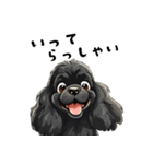 毎日使える大人可愛い黒アメコカ（個別スタンプ：9）