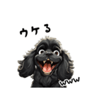 毎日使える大人可愛い黒アメコカ（個別スタンプ：10）