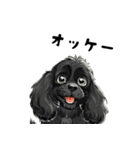 毎日使える大人可愛い黒アメコカ（個別スタンプ：13）