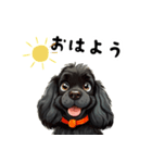 毎日使える大人可愛い黒アメコカ（個別スタンプ：14）