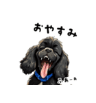 毎日使える大人可愛い黒アメコカ（個別スタンプ：15）