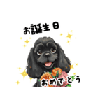 毎日使える大人可愛い黒アメコカ（個別スタンプ：16）