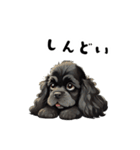 毎日使える大人可愛い黒アメコカ（個別スタンプ：18）