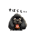 毎日使える大人可愛い黒アメコカ（個別スタンプ：19）