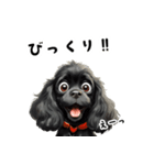 毎日使える大人可愛い黒アメコカ（個別スタンプ：30）