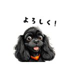 毎日使える大人可愛い黒アメコカ（個別スタンプ：34）