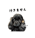 毎日使える大人可愛い黒アメコカ（個別スタンプ：38）