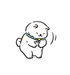 しばまるまる － にちじょうしろしば（個別スタンプ：3）