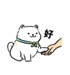 しばまるまる － にちじょうしろしば（個別スタンプ：4）