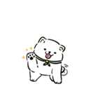 しばまるまる － にちじょうしろしば（個別スタンプ：5）