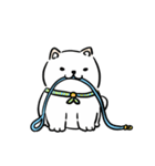 しばまるまる － にちじょうしろしば（個別スタンプ：10）