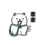 しばまるまる － にちじょうしろしば（個別スタンプ：11）