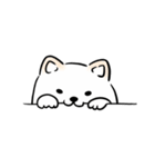 しばまるまる － にちじょうしろしば（個別スタンプ：12）