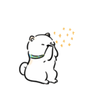しばまるまる － にちじょうしろしば（個別スタンプ：13）
