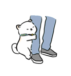 しばまるまる － にちじょうしろしば（個別スタンプ：14）