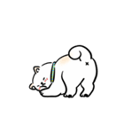 しばまるまる － にちじょうしろしば（個別スタンプ：31）