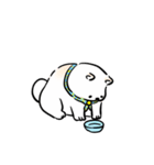 しばまるまる － にちじょうしろしば（個別スタンプ：39）