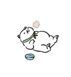 しばまるまる － にちじょうしろしば（個別スタンプ：40）