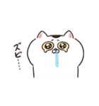 再販★動く！ねこちゃんだもの♪冬・お正月（個別スタンプ：8）